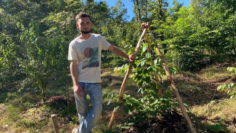 Сад смелых экспериментов: фермер на Сахалине выращивает 170 видов экзотических деревьев