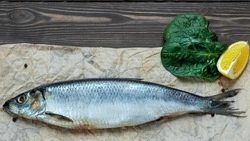 В Корсакове пройдет бесплатная раздача свежевыловленной селедки