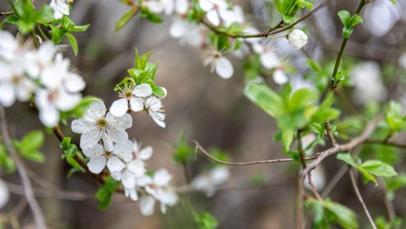 Народные приметы на 25 мая: что нельзя делать в Епифанов день