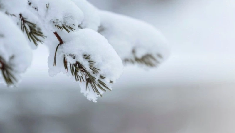 До -4 и пасмурно: прогноз погоды в Южно-Сахалинске 8 декабря
