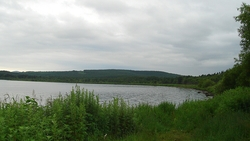 Пять вопросов