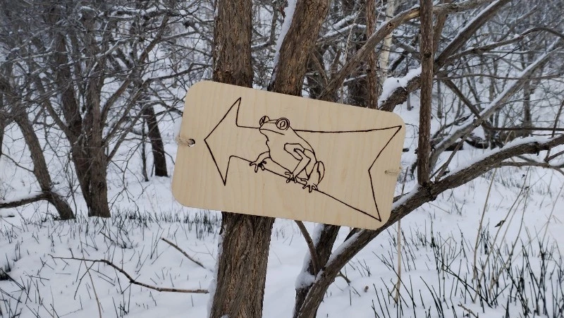 Вижу цель, не замечаю препятствий…