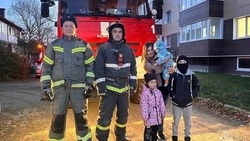 Сотрудники МЧС на Сахалине помогли женщине с тремя детьми попасть домой