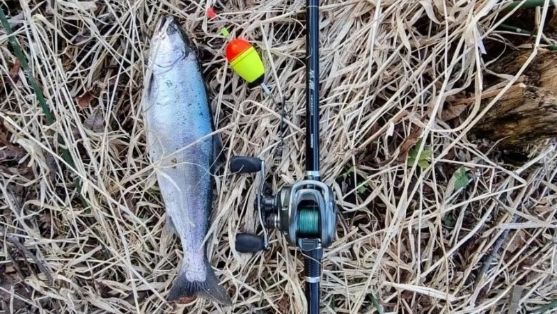 Рыбаки Сахалина похвастались первыми уловами симы в 2023 году