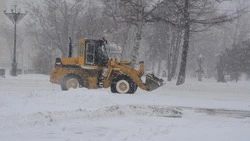 Все службы Сахалинской области привели в готовность из-за метели в ночь на 5 февраля