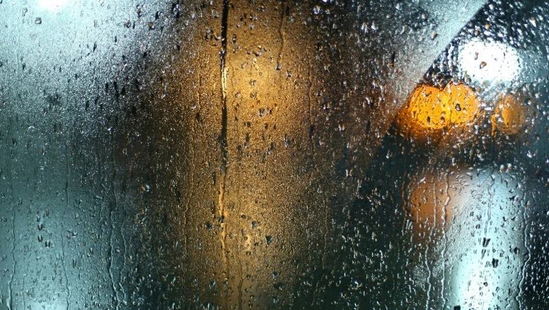 До +25 градусов и небольшой дождь: прогноз погоды в Южно-Сахалинске