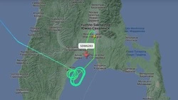 Туман в Южно-Сахалинске задержал рейсы из Новосибирска и Москвы