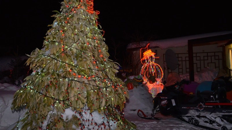 Самую оригинальную елку Сахалина нашли в Бамбучках