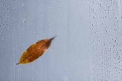 Сильный дождь обрушится на Сахалин 11 октября