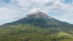 МИД РФ: Япония стремится вовлечь Украину в необоснованные претензии на Курильские острова