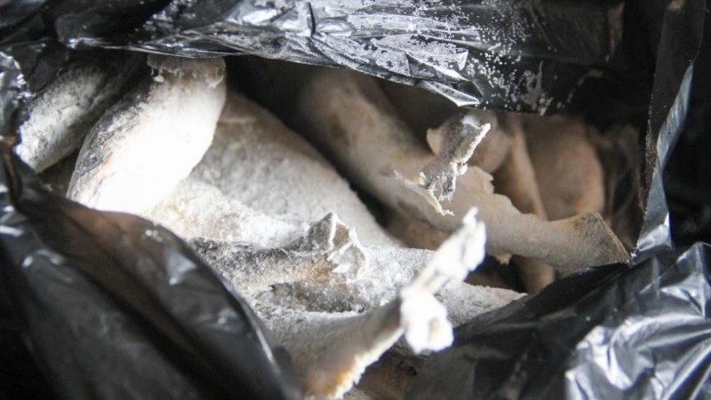 Ветеранов Корсакова угостили свежим уловом наваги 17 января