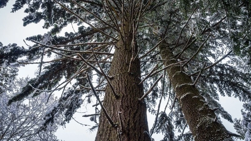 Церковный праздник 22 ноября 2024: что нельзя делать в этот день, приметы