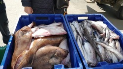 В Сахалинской области увеличили объемы реализации свежей рыбы по сниженным ценам