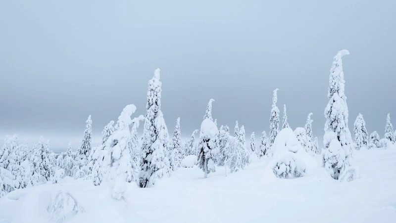 Снег и до -3 градусов: прогноз погоды в Южно-Сахалинске на 30 января