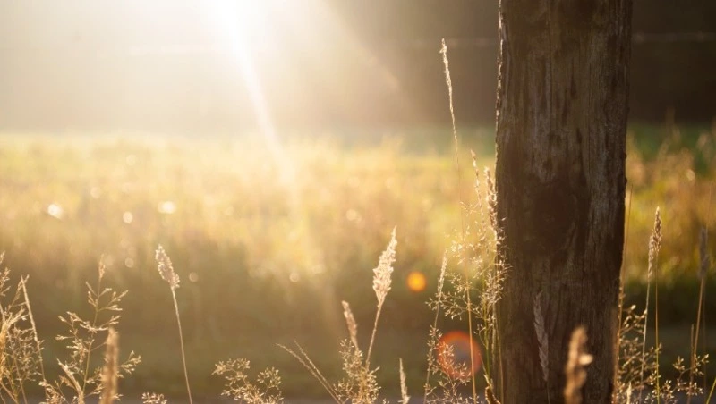 Тепло и слабый ветер придут на Сахалин и Курилы 28 сентября