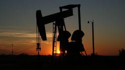В «Газпроме» отметили рост значимости «Сахалина-2» в поставках нефти и газа в Китай