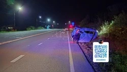 Пьяная островитянка устроила ДТП на «встречке» в Корсаковском районе 