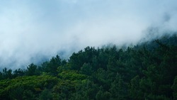Удушливым дымом затянуло север Сахалина