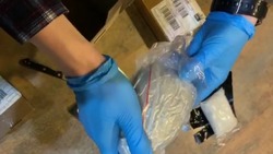 Сахалинская полиция изъяла у приезжей петербурженки более 1,5 кг наркотиков