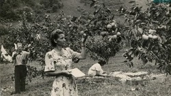 Уникальные и особо ценные: тонкости работы исторического архива раскрыли сахалинцам