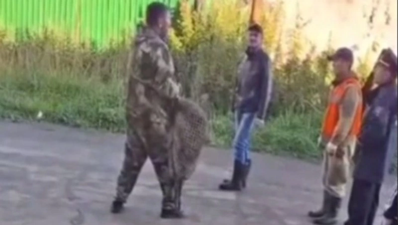 Ревущего медвежонка отловили возле частных домов в Томари 