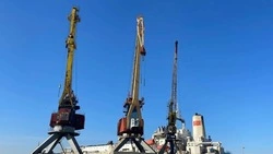 Россельхознадзор оформил на экспорт 26 тысяч тонн рыбы в Приморье и на Сахалине