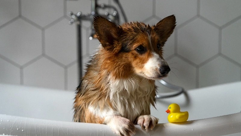 Сотни жителей Южно-Сахалинска остались без горячей и холодной воды 17 июня 