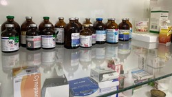Бесплатная диспансеризация животных заработала в Аниве