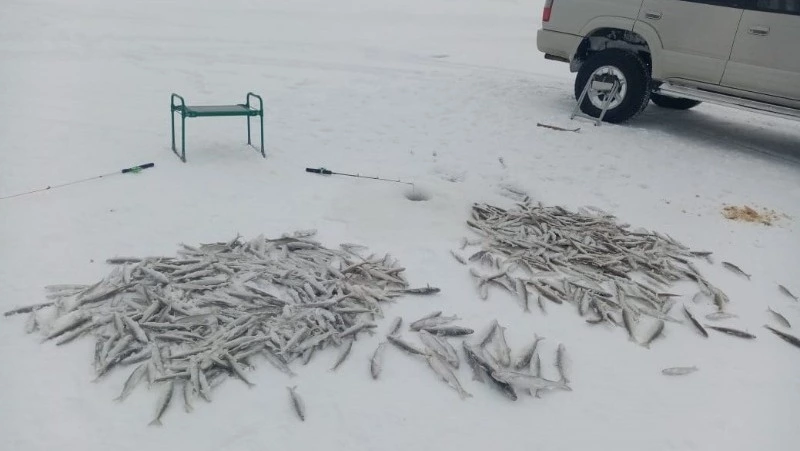 Рыбалка в циклон: жители Сахалина отправились за корюшкой на Изменчивое