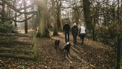 Способы борьбы со стрессом озвучили жители Сахалина