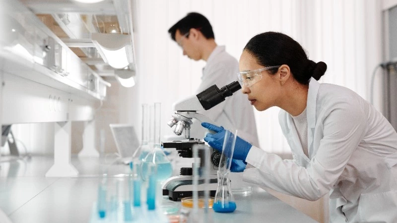 Путин разрешил губернаторам финансировать научные исследования вузов