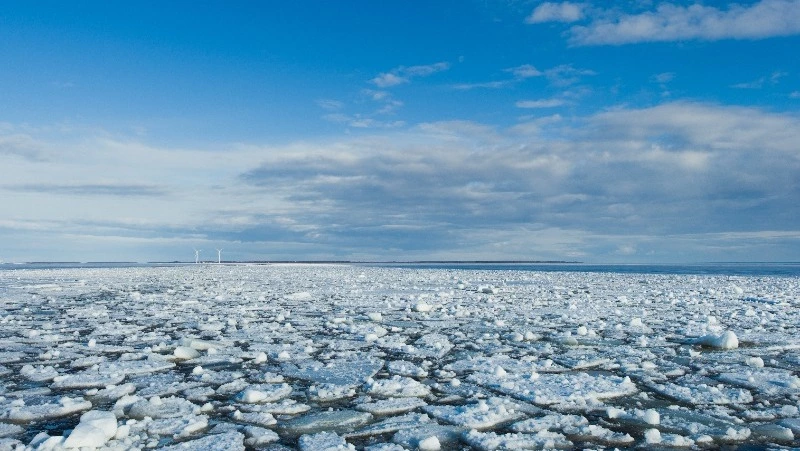 Два километра устойчивого припая образовалось в заливе Мордвинова 