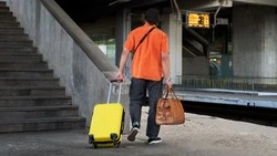 Почти два десятка мигрантов выдворили из РФ в рамках рейдов «Нелегал-2024» на Сахалине