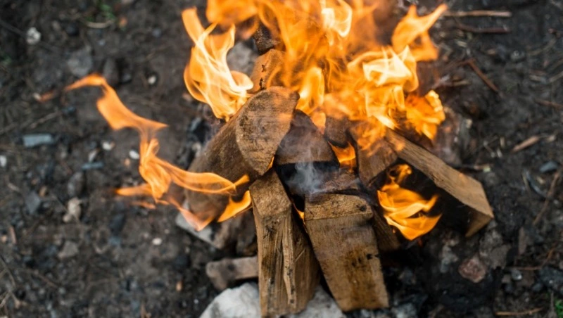 Правила пожарной безопасности на природе: памятка для жителей Сахалина