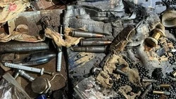 Боеприпасы и урожай конопли нашли дома у жителя Шахтерска