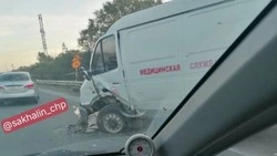 В Южно-Сахалинске на улице Лесной столкнулись легковушка и автомобиль скорой помощи