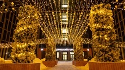 Студенты СахГУ оценили стремительное преображение Южно-Сахалинска за последние годы