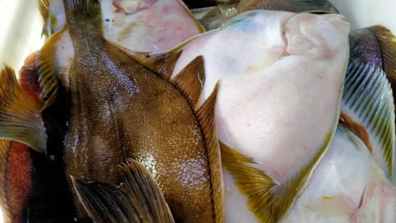Свежую камбалу по 58 рублей за килограмм предложили жителям Корсакова 27 июля