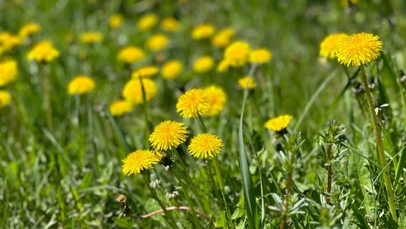 Приметы обо всем на 26 мая 2023 года: что можно и нельзя делать в этот день