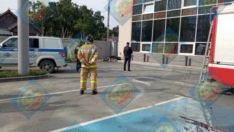 Спасатели убрали улей в жилом доме на проспекте Победы в Южно-Сахалинске 