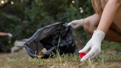 Задавая темп всей стране: жителей Сахалина и Курил пригласили к участию во Всероссийском субботнике