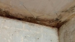 Жительница Долинска пожаловалась на черные от воды стены в квартире 