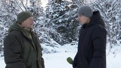 Штраф от 3 до 5 тысяч рублей выпишут жителям Сахалина за рубку елки к Новому году