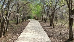 Валерий Лимаренко: необходимо менять руководство Ботсада