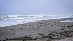 Подросток утонул на морском пляже в Невельске