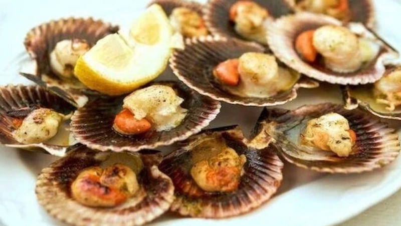 Компания с Сахалина выплатила штраф в 8,2 млн рублей за незаконный вылов морского гребешка и наваги