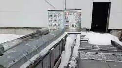 Птицефабрика Сахалина нашла способ не поднимать цены на продукцию