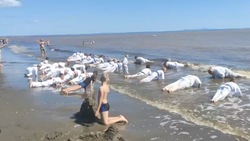 Тренировку по киокушинкай карате для юных спортсменов провели на побережье в Аниве