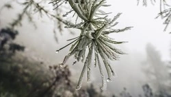 Небольшой снег будет падать в Южно-Сахалинске 21 марта