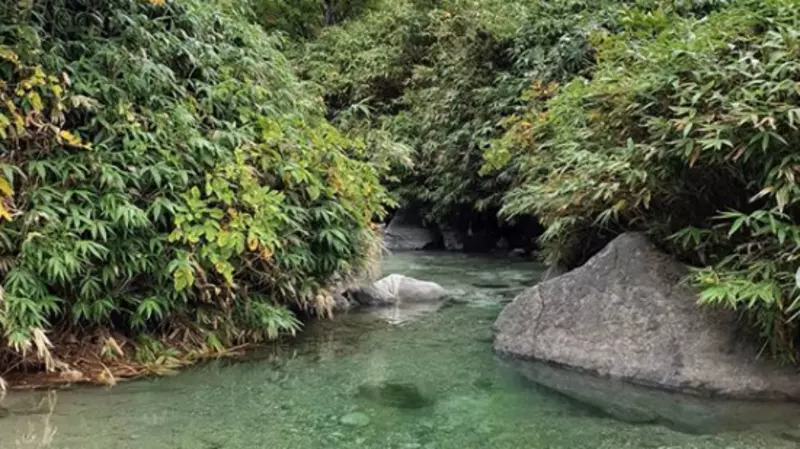 «Рай на земле»: президент Татарстана поделился в Instagram красотами Курил (ФОТО)